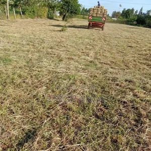 Hay Boma Rodes for Sale in Kagio