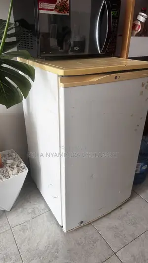 LG Fridge 130liters