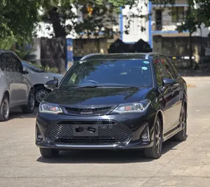 Toyota Corolla Fielder 2019 Black