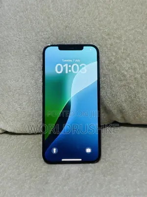 Apple iPhone 12 Pro Max 256 GB Blue