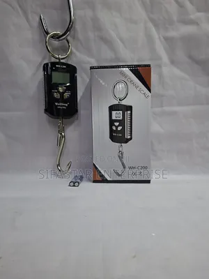 Crane Scale Wh C Series 200kg