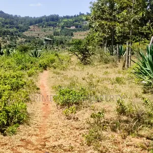 6 Acres at Mua Hills Best for a Homestead