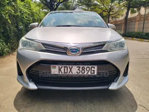 Toyota Corolla Fielder 2019 Silver