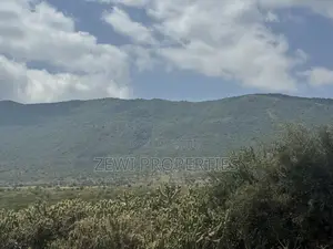 49 Acres Kisamis