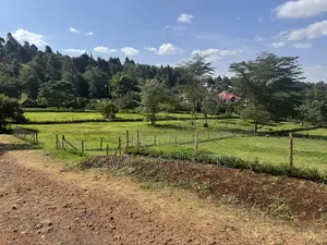 Quarter Acre Ngong
