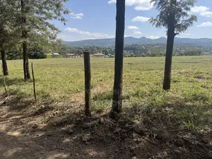 One Acre Matasia