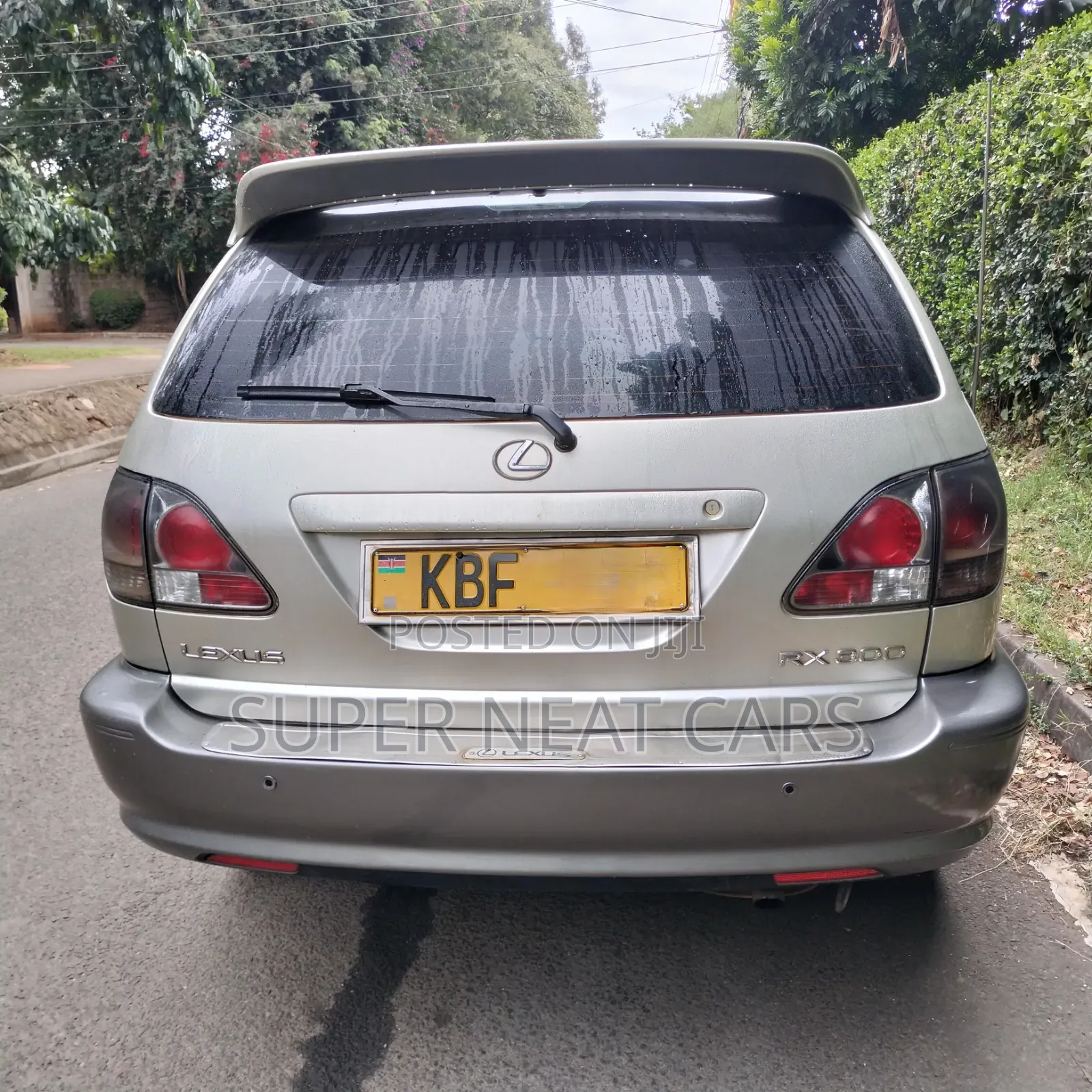 Lexus RX 2002 Silver
