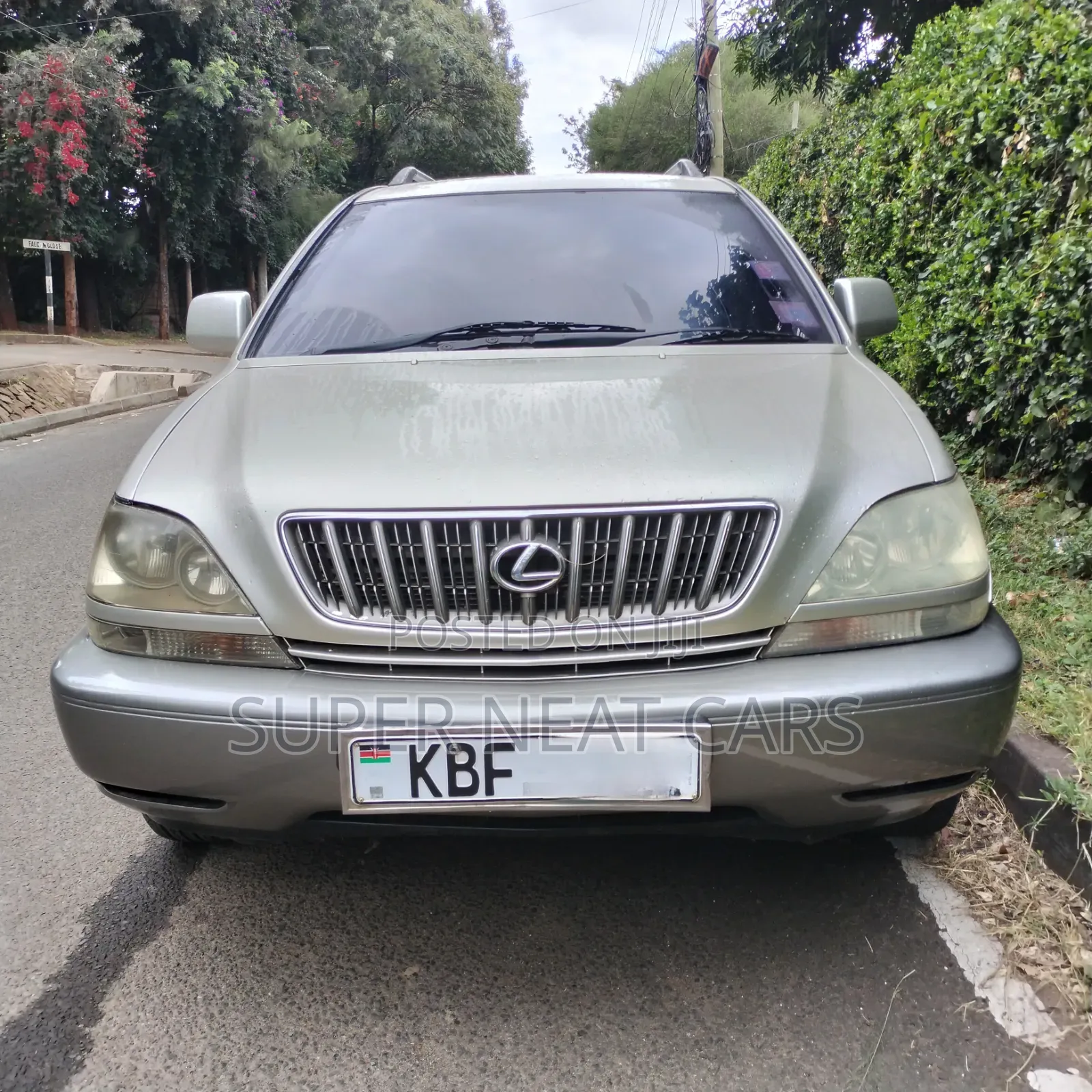 Lexus RX 2002 Silver