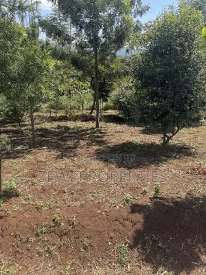 Half Acre Matasia