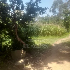 Plot for Sale 50 by 100