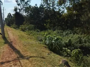 Land for Lease in Karen