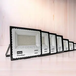 Outdoor-Rated Reliable 200w,100w,50w,30w Ac Electric Led Flood Light