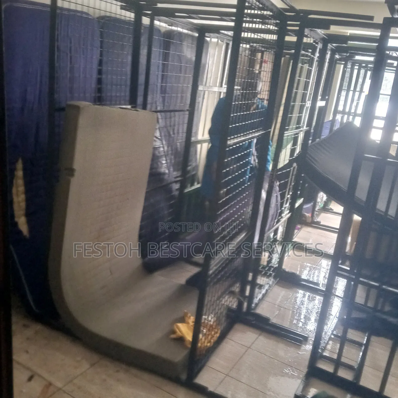 School Fumigation Service