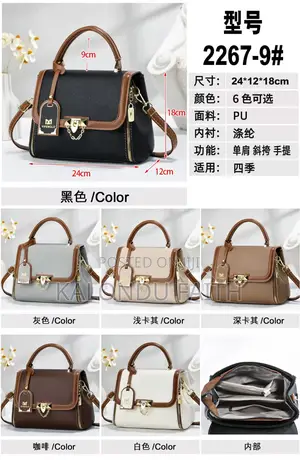 Luxury Handbag