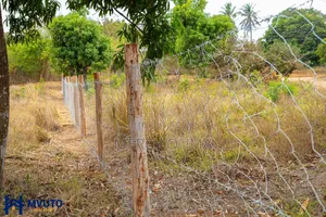 Kilifi / Mtwapa/Mtepeni Area