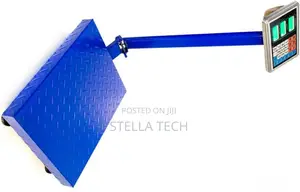 300kg Platform Scale