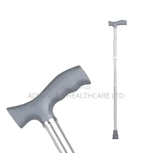 Walking Stick