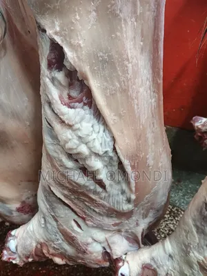 Goat Ribs/Chaps - 620 Per Kg
