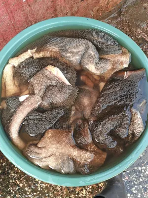 Beef Matumbo - 320 Per Kg
