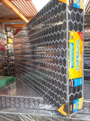 Morning Glory 6 Inch Single Mattress, 3 by 6
