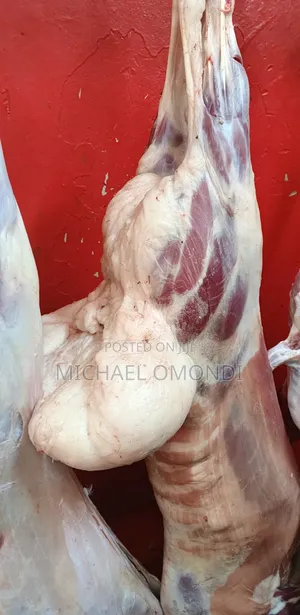 13kgs Mutton/Lamb - 8840