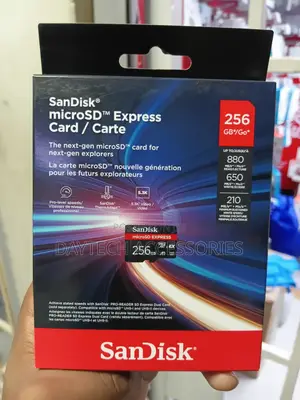 Sandisk Microsd Express Card - 256gb