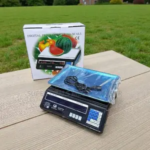 Retail Scale Acs 40 Upto 40kgs Electronic Digital Weighing Scale