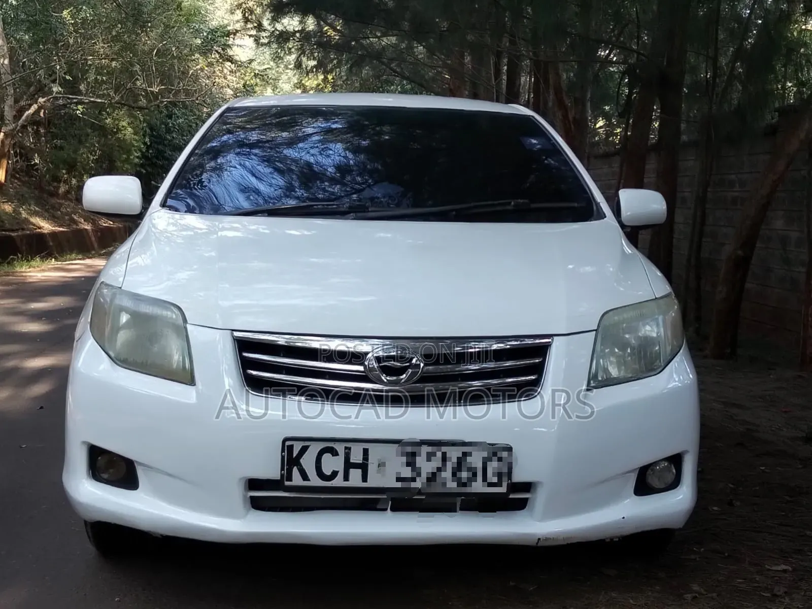 Toyota Axio 2009 White