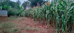2 Acres in Sale at Muri -Kirinyaga