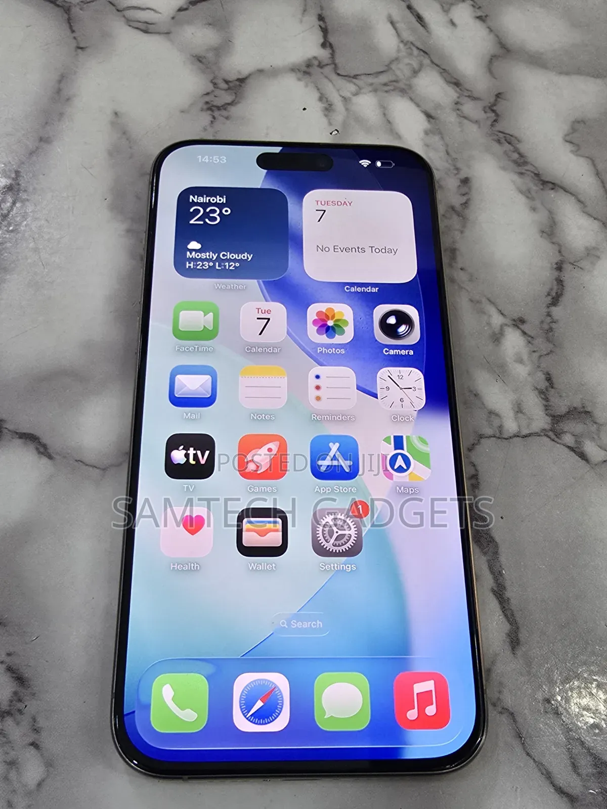 Apple iPhone 15 Pro Max 256 GB Gray