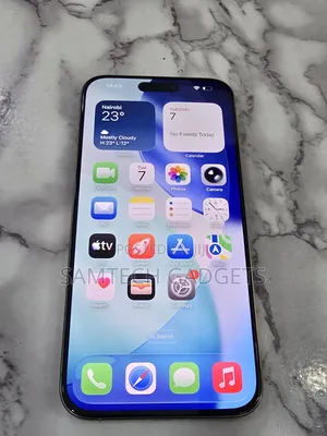 Apple iPhone 15 Pro Max 256 GB Gray