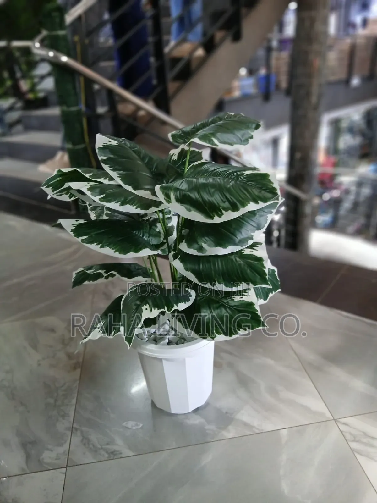Artificial Plant With Vase Pebbles | With/Without Stand