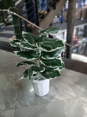 Artificial Plant With Vase Pebbles | With/Without Stand