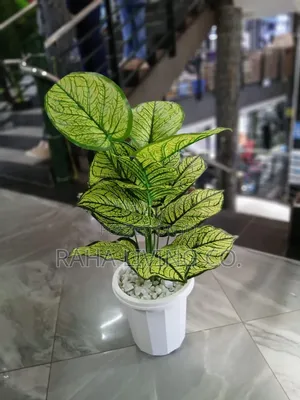 Artificial Plant With Vase Pebbles | With/Without Stand