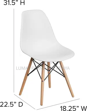 Modern Eames Chair