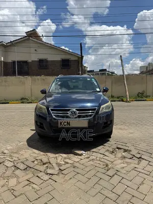 Volkswagen Tiguan 2011 Blue