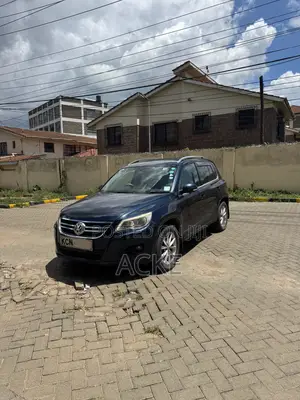 Volkswagen Tiguan 2011 Blue