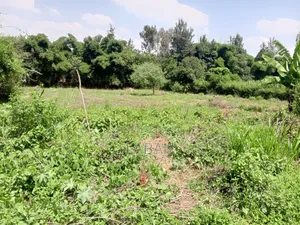 Mugumo Kamiti Rd 1/2