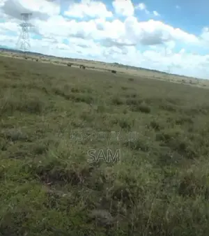 Ps-1588-50*100 Plot-Juja Farm