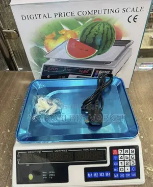 Armless Digital Scale 40kg