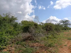 100 X100 Plot-Watamu for Sales