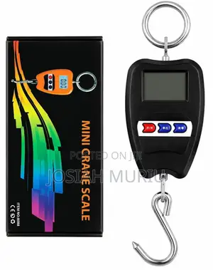 200kg Mini Crane Scale