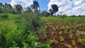 1 Acre for Sale in Ngong Matasia