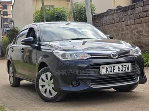 Toyota Axio 2017 Black