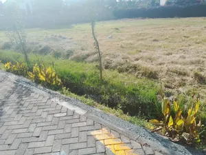 Land For. Sale 1/2 Acre. For Sale Karen