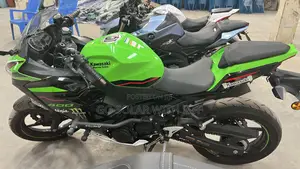 Kawasaki Ninja 400 2020 Green