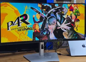 Dell 34inch Monitor  Model: P3421w