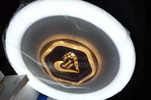 Decorative Ceiling Light