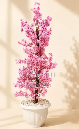 Flowers and Vases