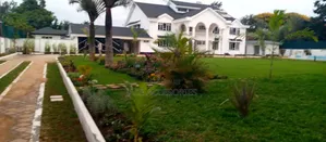 Landscaping and Lawn Care
